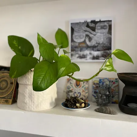 Apartamento Bilocale - Milano Zona Isola Milán